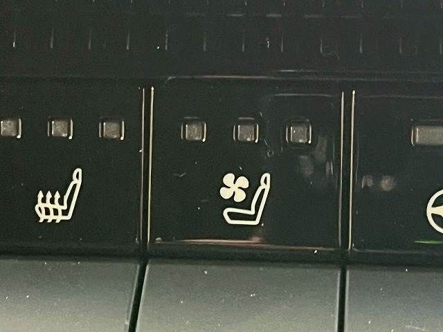 TOYOTA LANDCRUISER 250 2024