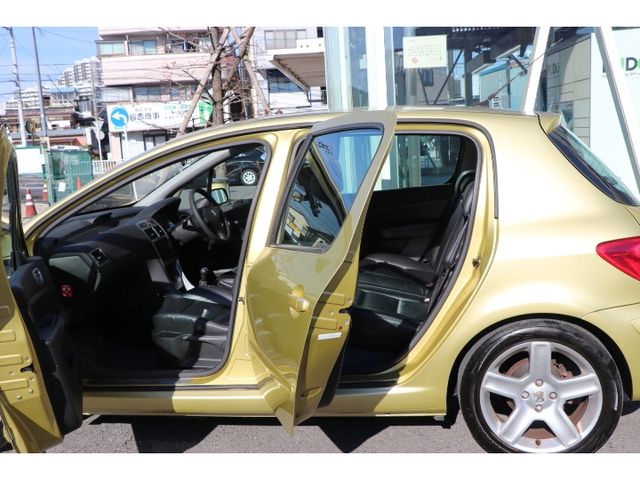 PEUGEOT PEUGEOT 307 2002