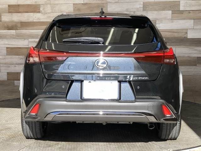 TOYOTA LEXUS UX250h 2023