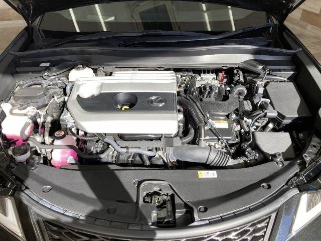 TOYOTA LEXUS UX250h 2023