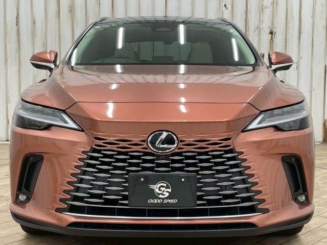 TOYOTA LEXUS RX450h+ 2024