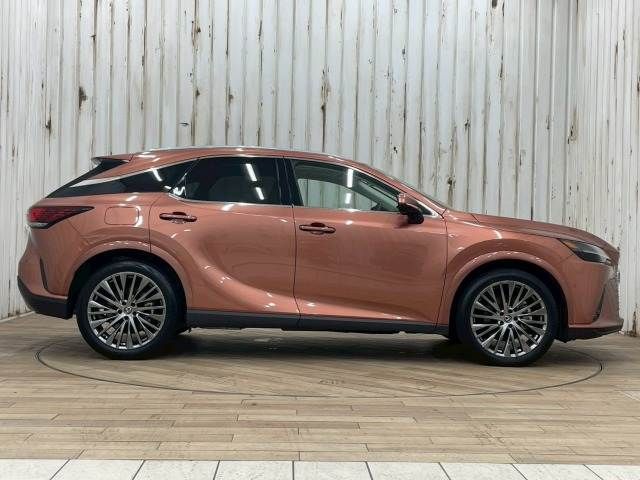 TOYOTA LEXUS RX450h+ 2024