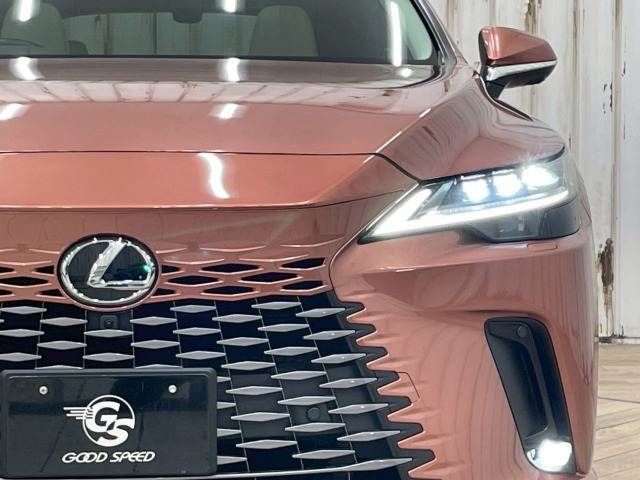 TOYOTA LEXUS RX450h+ 2024