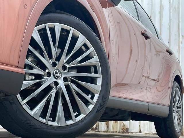 TOYOTA LEXUS RX450h+ 2024