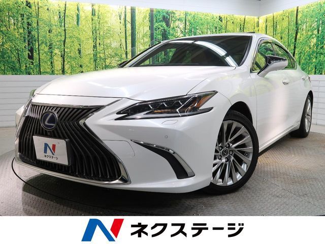 TOYOTA LEXUS ES300h 2019