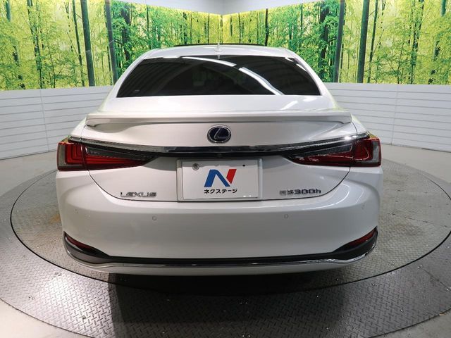 TOYOTA LEXUS ES300h 2019