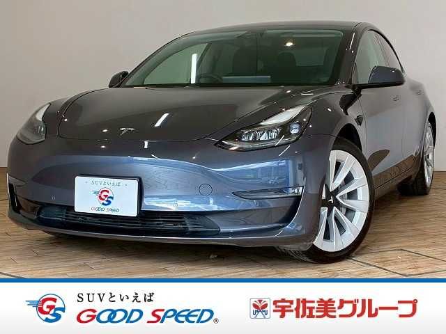 TESLA TESLA MODEL 3 2021