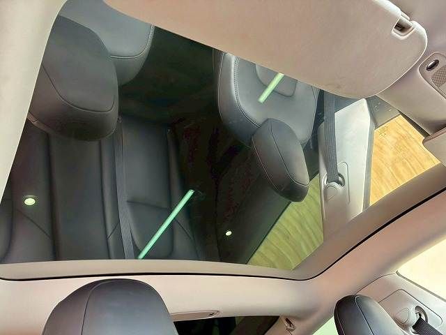 TESLA TESLA MODEL 3 2021