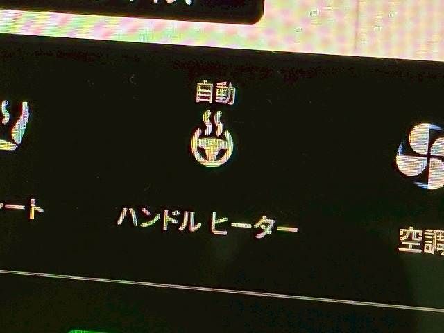 TESLA TESLA MODEL 3 2021