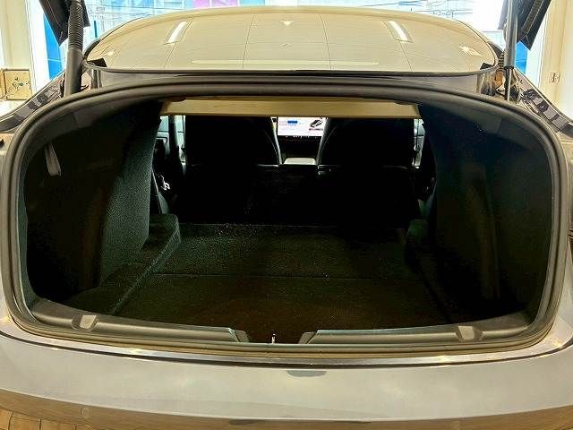 TESLA TESLA MODEL 3 2021