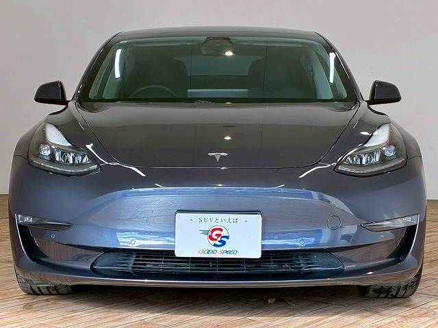 TESLA TESLA MODEL 3 2021
