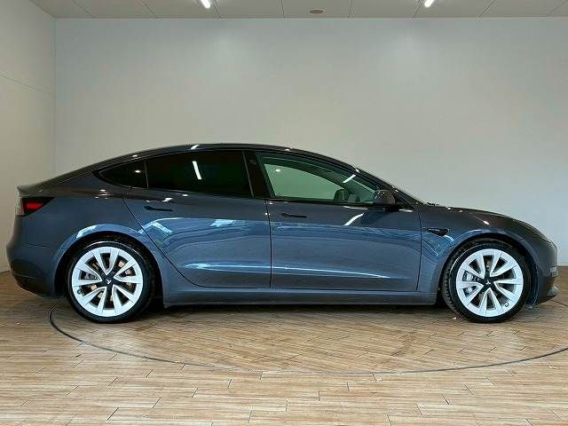 TESLA TESLA MODEL 3 2021