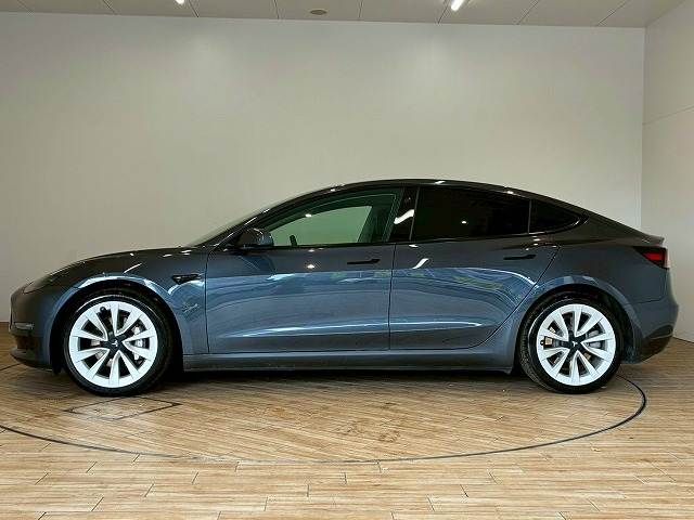 TESLA TESLA MODEL 3 2021