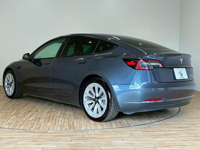 TESLA TESLA MODEL 3 2021