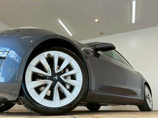 TESLA TESLA MODEL 3 2021