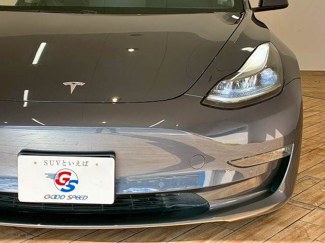 TESLA TESLA MODEL 3 2021