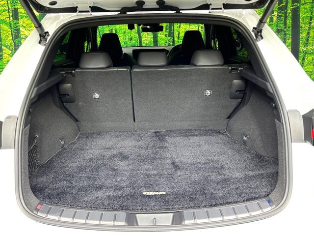 TOYOTA LEXUS NX350h 2023