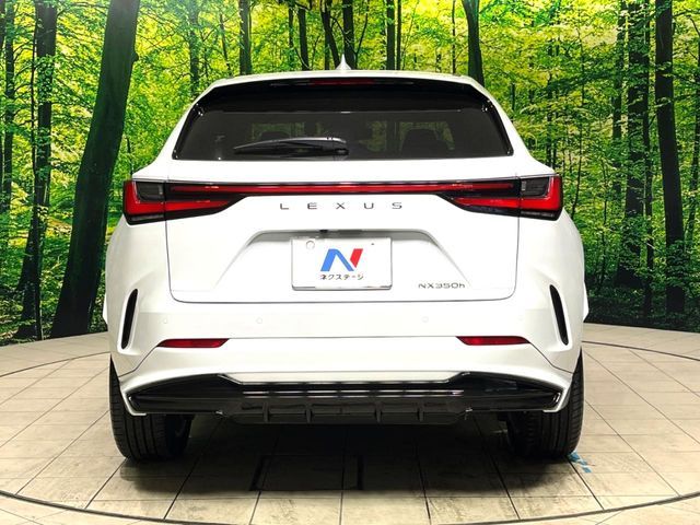 TOYOTA LEXUS NX350h 2023