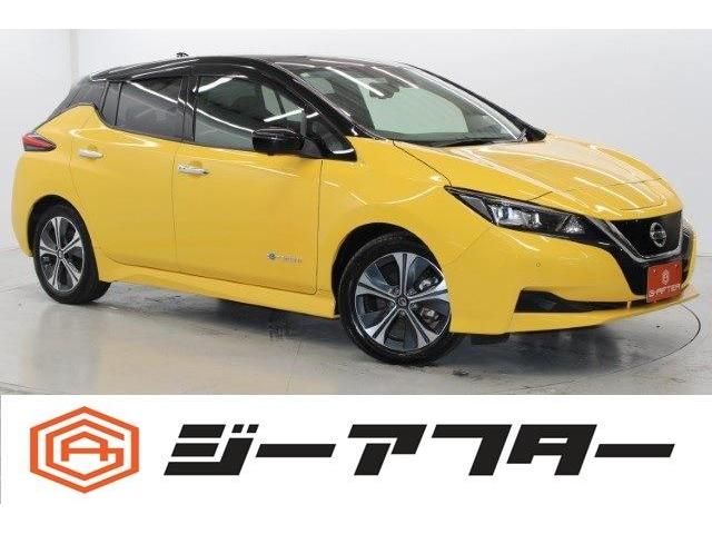 NISSAN LEAF 2020