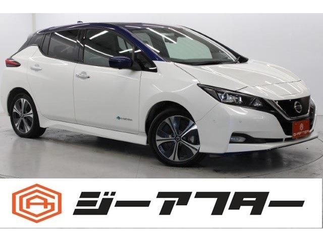 NISSAN LEAF 2020