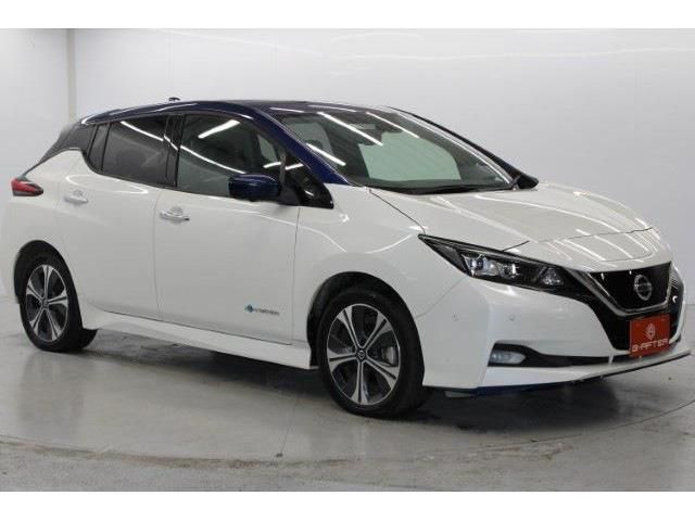 NISSAN LEAF 2020