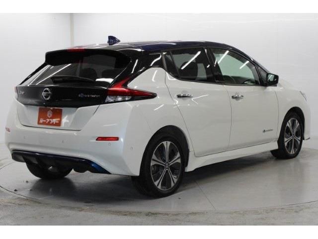 NISSAN LEAF 2020