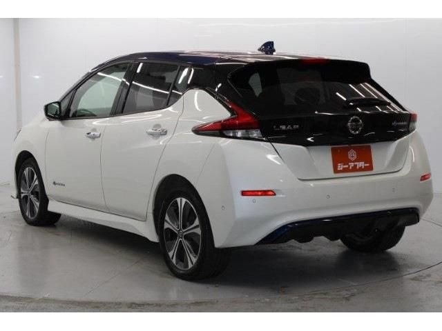 NISSAN LEAF 2020