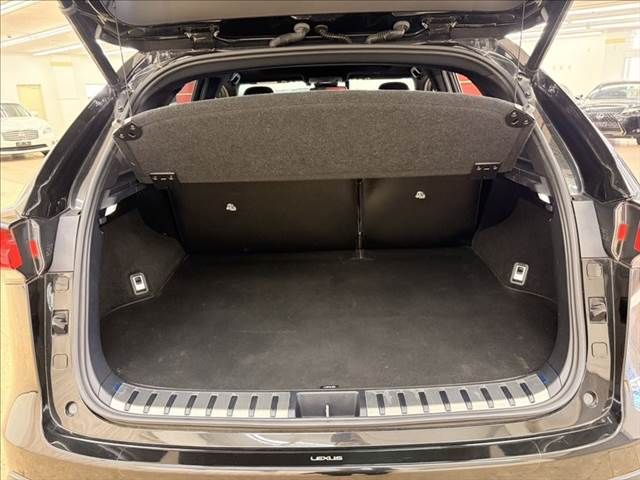 TOYOTA LEXUS NX300h 2018