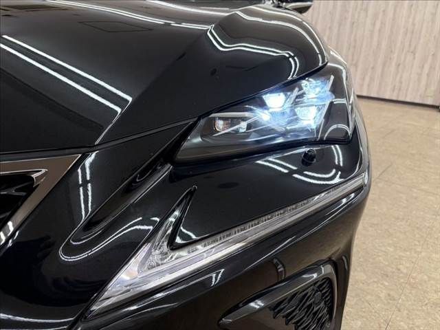 TOYOTA LEXUS NX300h 2018