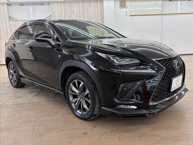 TOYOTA LEXUS NX300h 2018