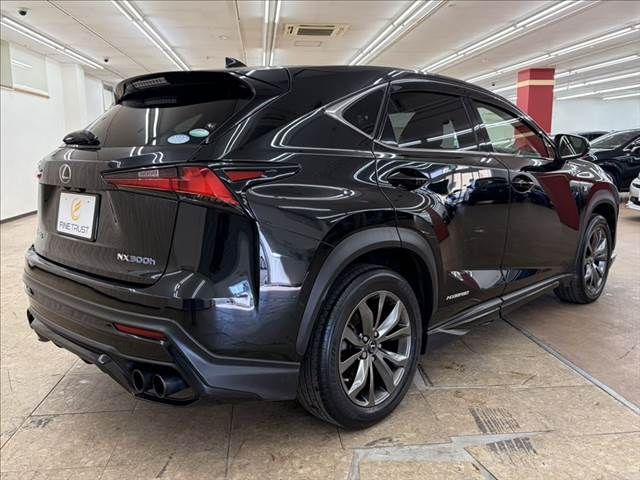 TOYOTA LEXUS NX300h 2018