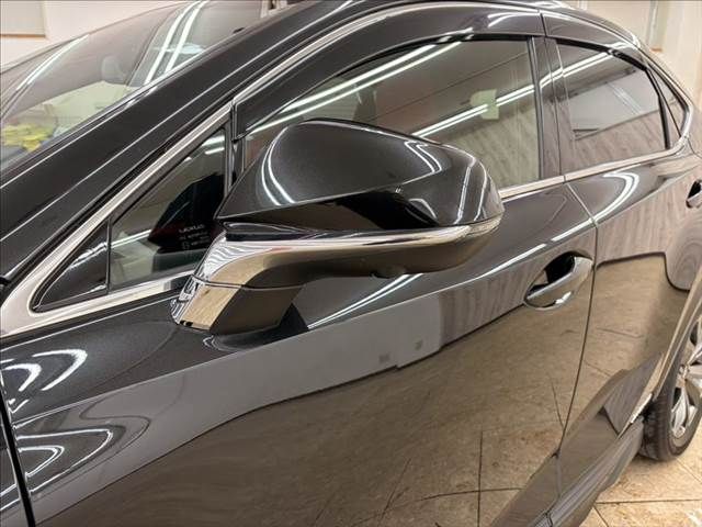 TOYOTA LEXUS NX300h 2018