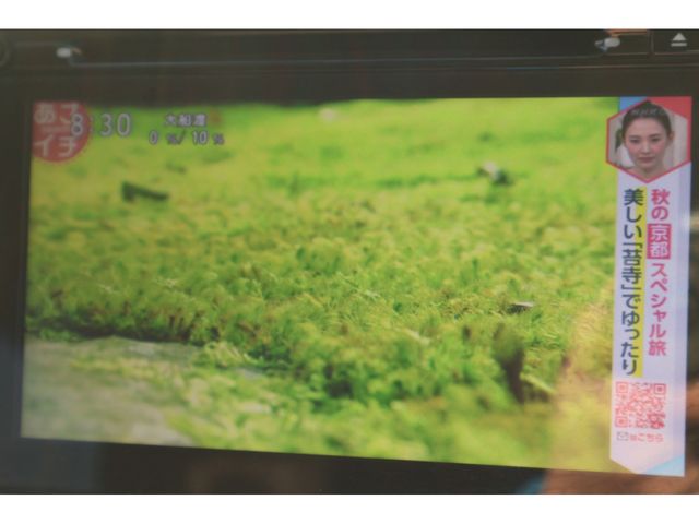 SUZUKI SOLIO 4WD 2016