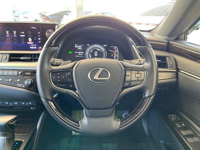 TOYOTA LEXUS ES300h 2019