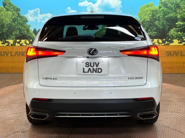 TOYOTA LEXUS NX300 2017