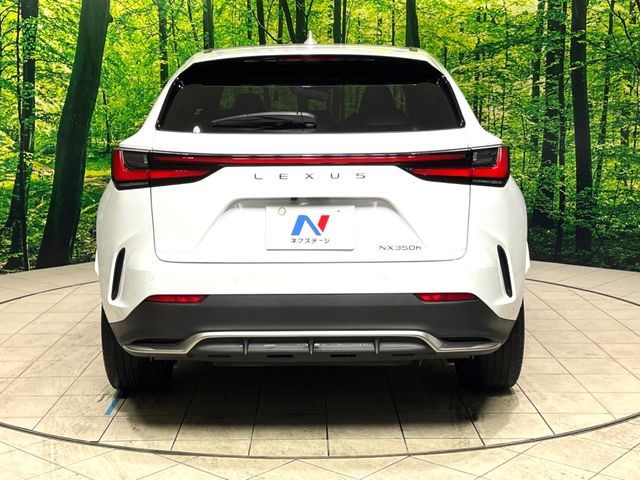 TOYOTA LEXUS NX350h 2023
