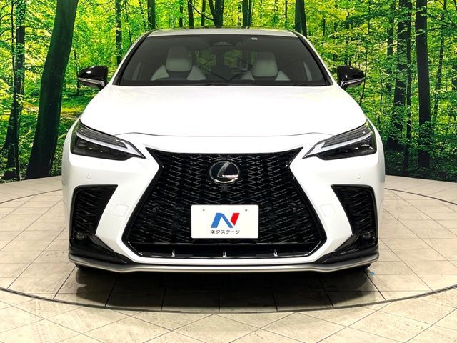 TOYOTA LEXUS NX350h 2023