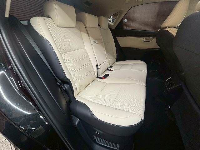 TOYOTA LEXUS NX300h AWD 2019