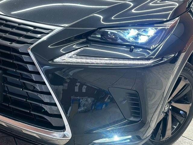 TOYOTA LEXUS NX300h AWD 2019