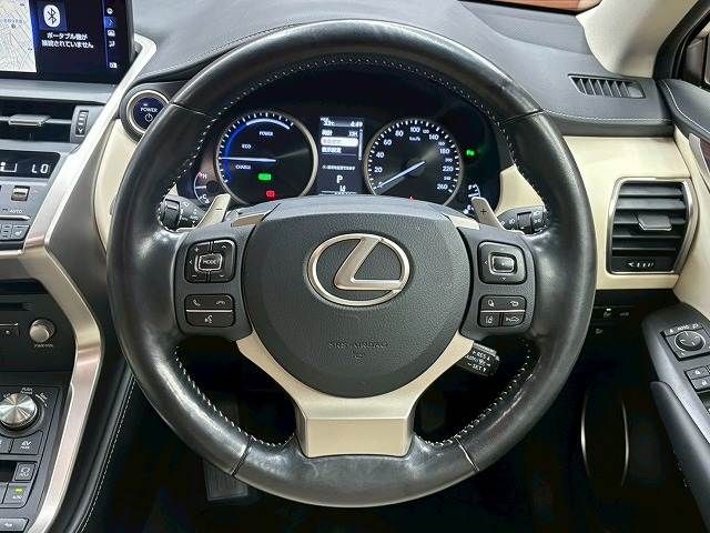 TOYOTA LEXUS NX300h AWD 2019