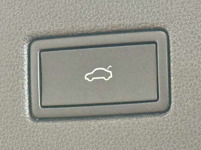 VOLKSWAGEN VOLKSWAGEN TIGUAN 2023