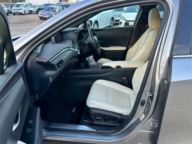 TOYOTA LEXUS UX250h 2019