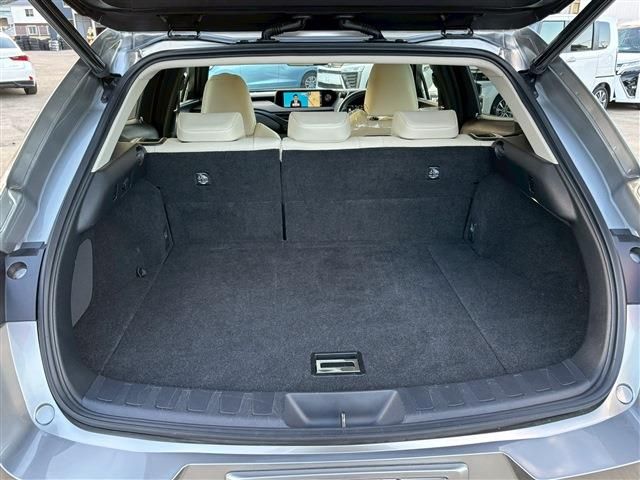 TOYOTA LEXUS UX250h 2019