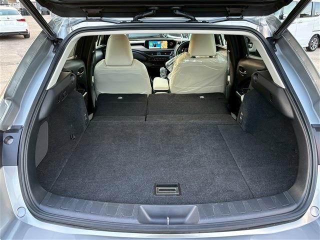 TOYOTA LEXUS UX250h 2019