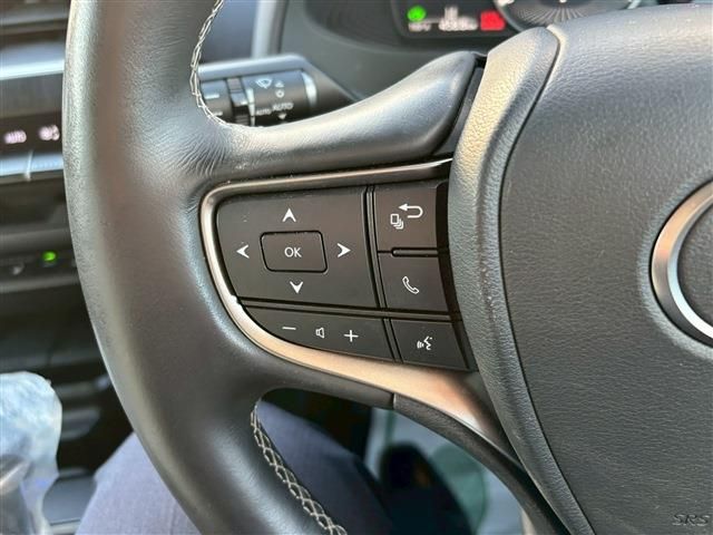 TOYOTA LEXUS UX250h 2019