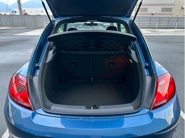 VOLKSWAGEN VOLKSWAGEN The BEETLE 2019