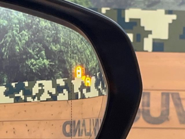 TOYOTA LEXUS NX350h 2024