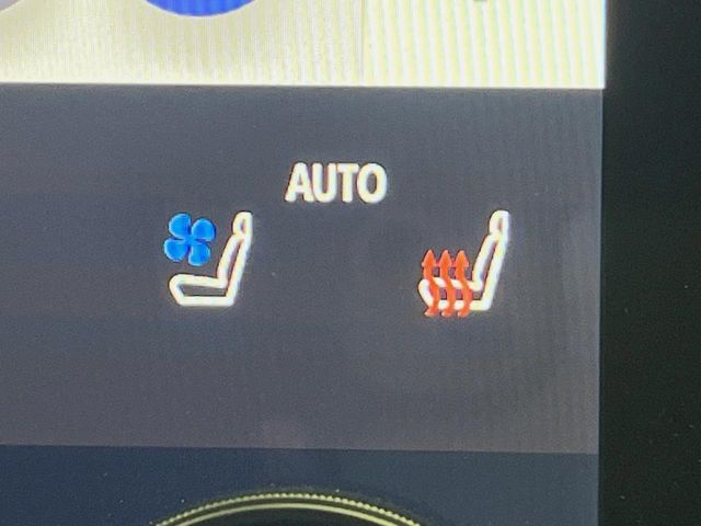 TOYOTA ALPHARD hybrid 4WD 2024