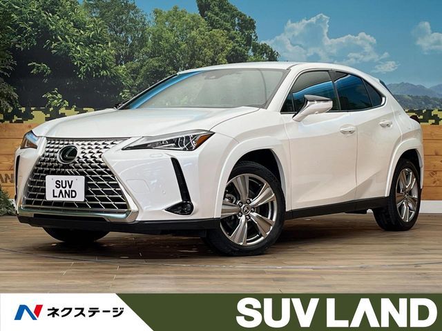TOYOTA LEXUS UX250h AWD 2022