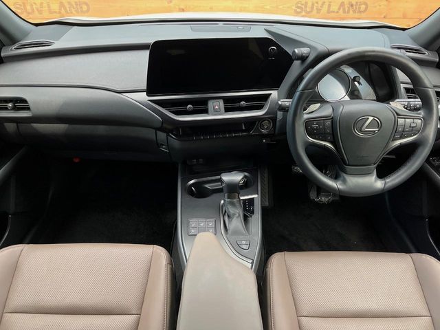 TOYOTA LEXUS UX250h AWD 2022